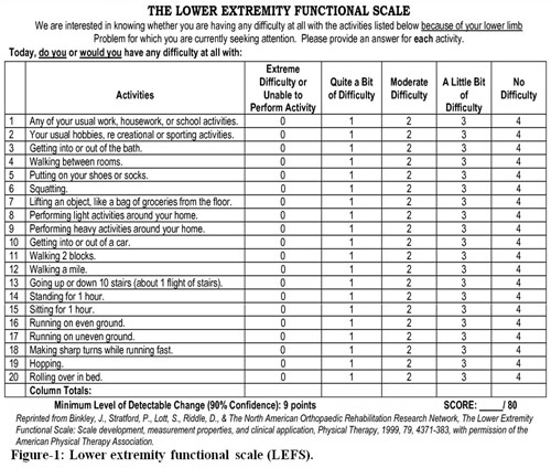 lefs scale